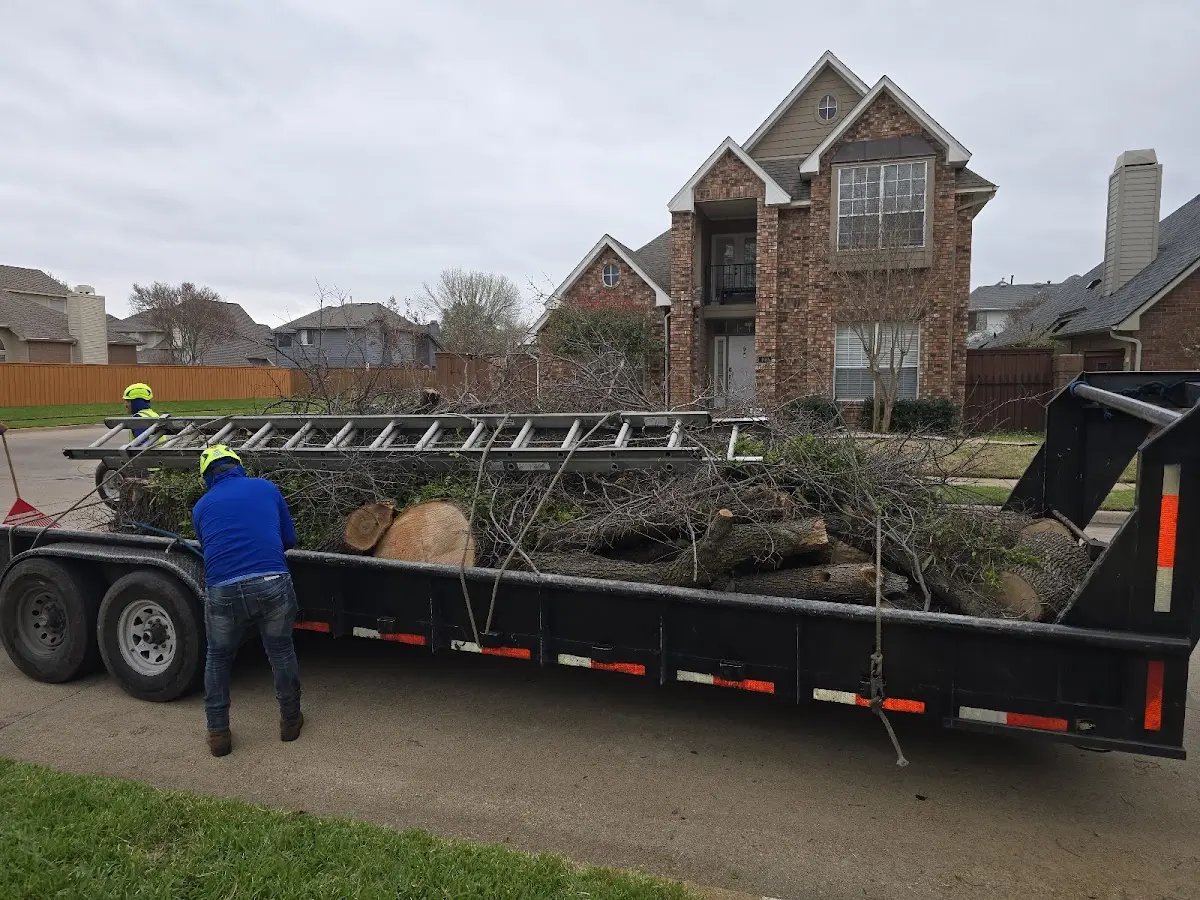 Expert Crown Reduction with proper safety equipment in Prairie Grove